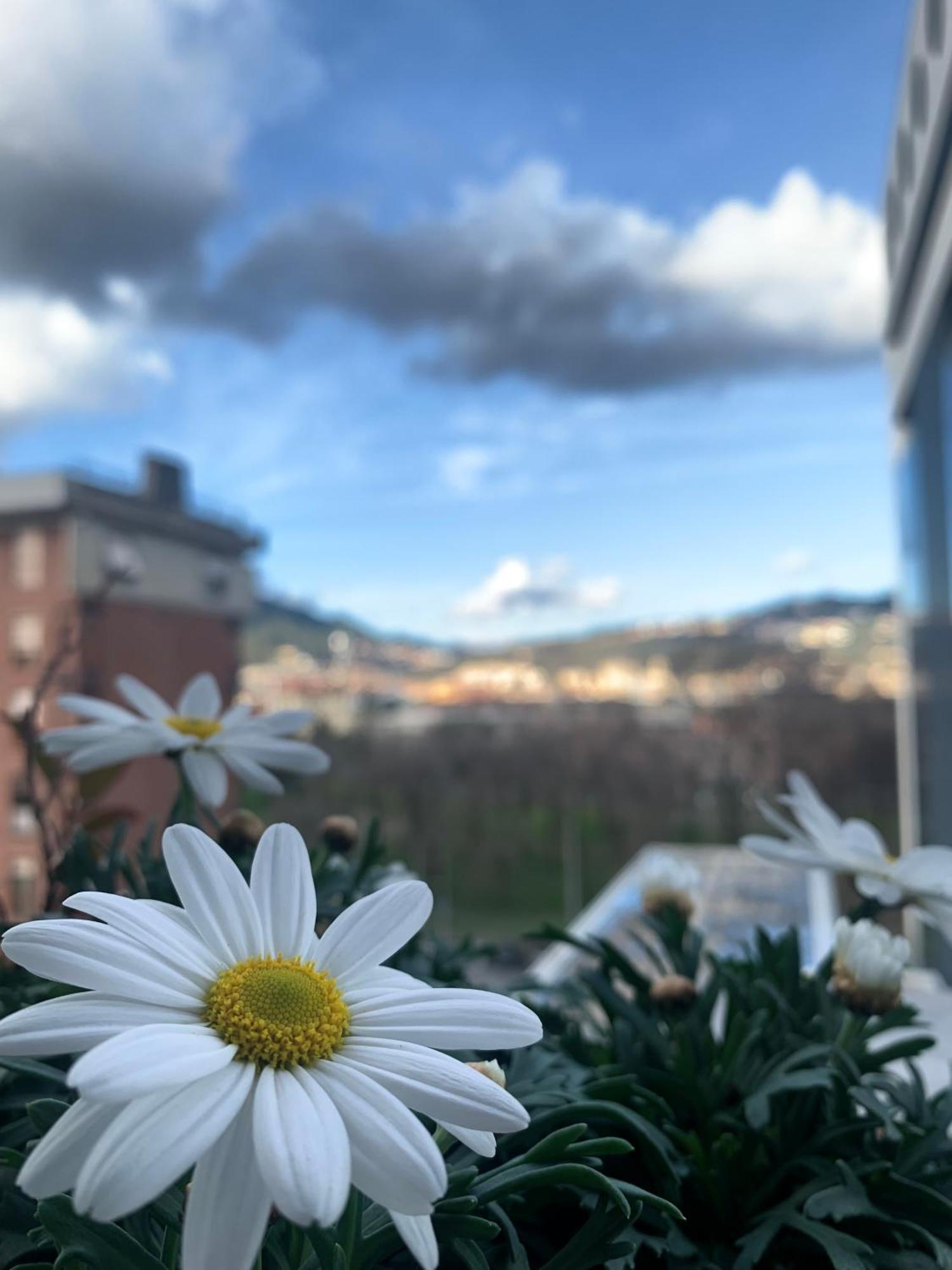 La Finestra Sul Parco Appartement La Spezia Buitenkant foto